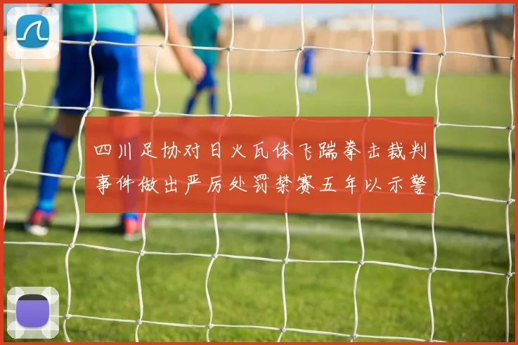 四川足协对日火瓦体飞踹拳击裁判事件做出严厉处罚禁赛五年以示警戒