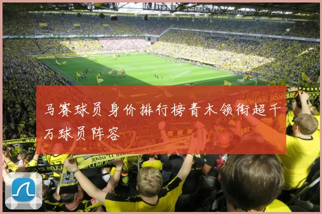 马赛球员身价排行榜青木领衔超千万球员阵容